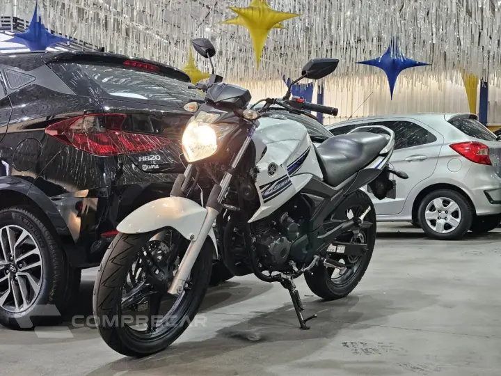 YS 250 FAZER/ FAZER L. EDITION /BLUEFLEX