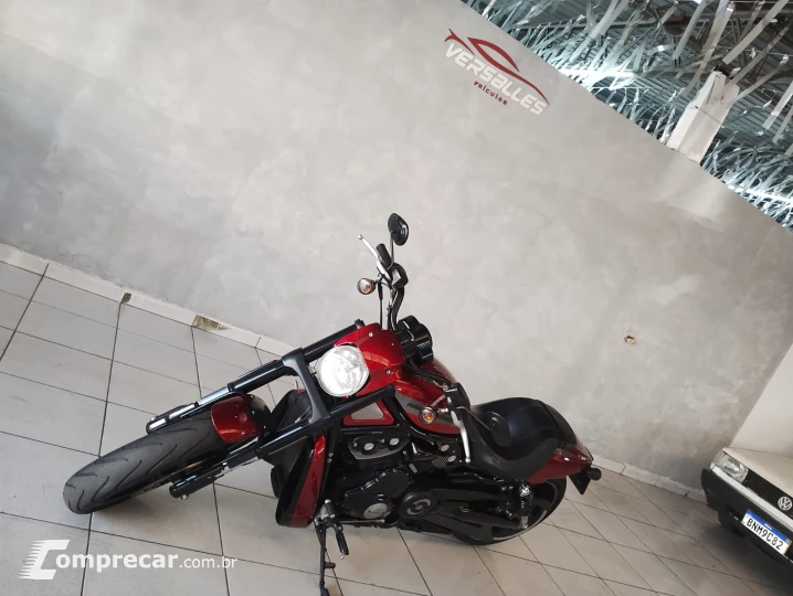 Night Rod Special 1250
