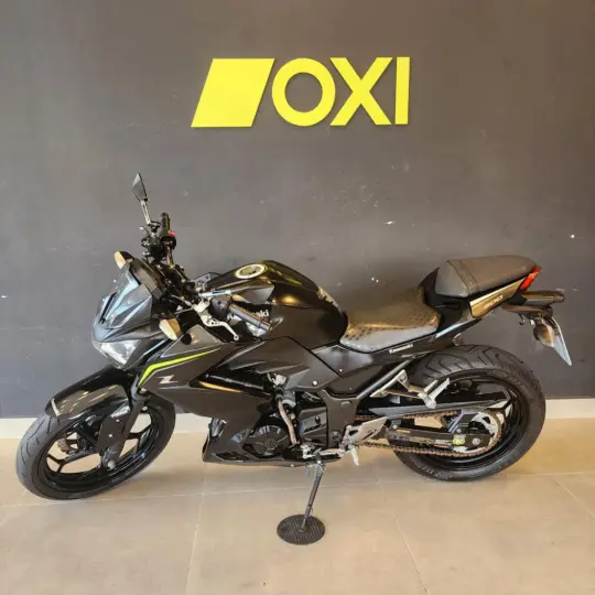 Z 300