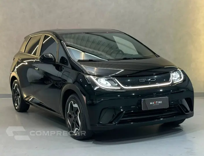 Dolphin EV GS (Elétrico)