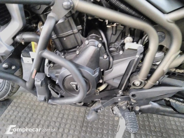 Tiger 800 XRX