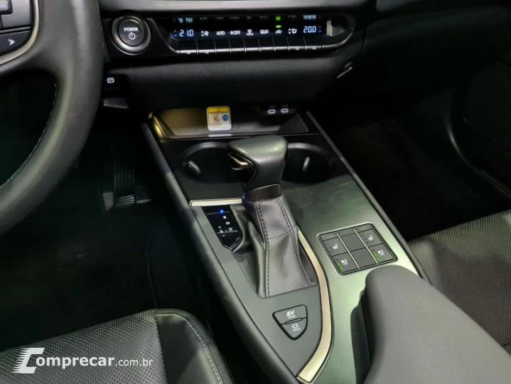 UX250H LUXURY