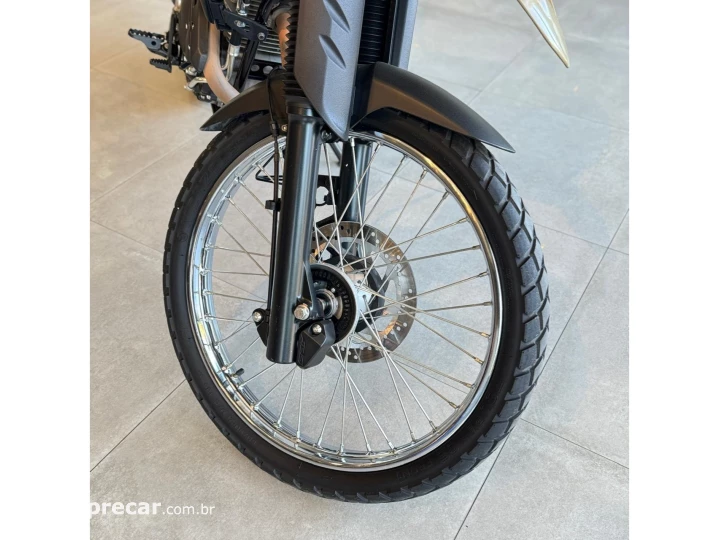 XTZ LANDER