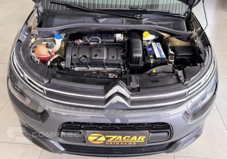 C4CACTUS FEEL BU