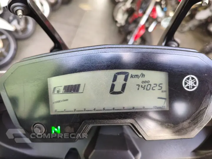 XTZ 250 TENERE/TENERE BLUEFLEX