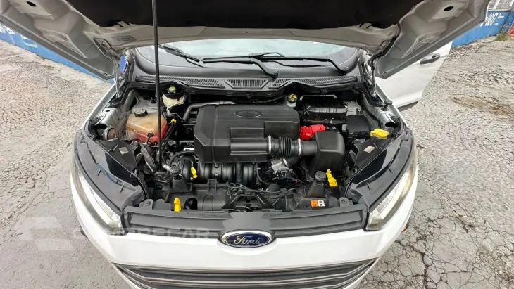 ECOSPORT 2.0 Freestyle 16V