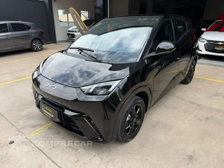 Dolphin Mini 38 Kw Elétrico