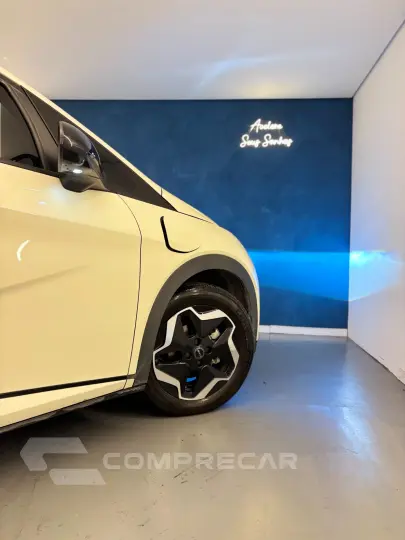 Dolphin EV (Elétrico)
