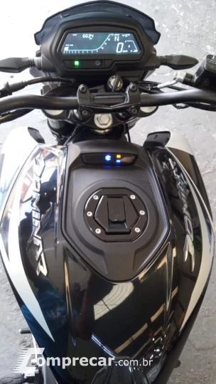 DOMINAR 250