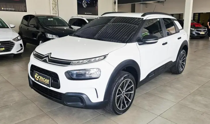 C4CACTUS FEEL BU