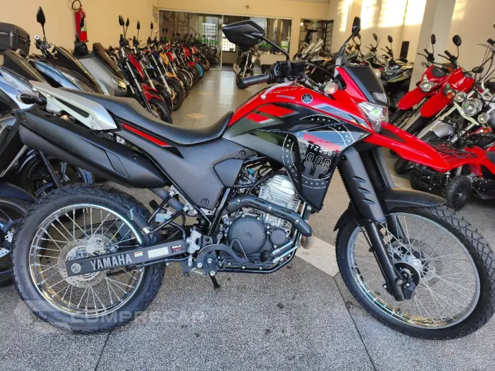 XTZ 250 LANDER 249cc/LANDER BLUEFLEX/ABS