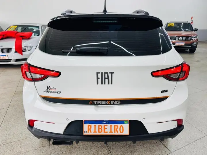 ARGO TREKKING 1.3 8V FLEX AUT