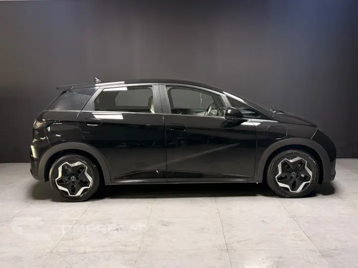 DOLPHIN 44,9 KW ELÉTRICO GS