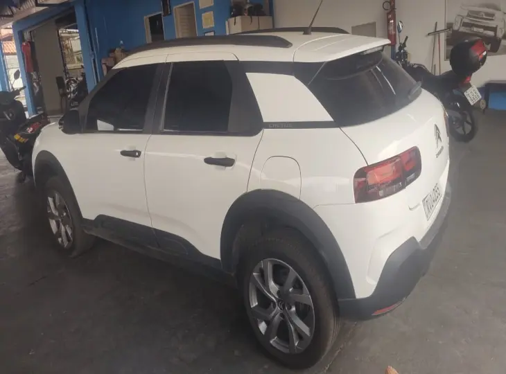 C4 Cactus