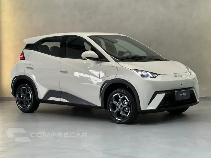 Dolphin EV GS (Elétrico)