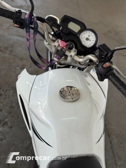YS 250 FAZER/ FAZER L. EDITION /BLUEFLEX