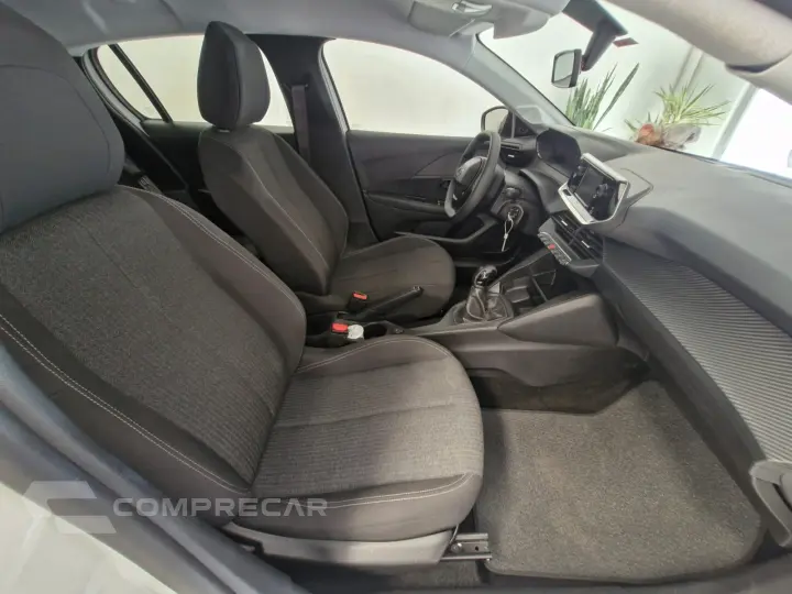 208 1.0 Firefly Like