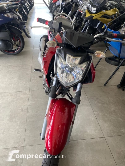 YS 250 FAZER