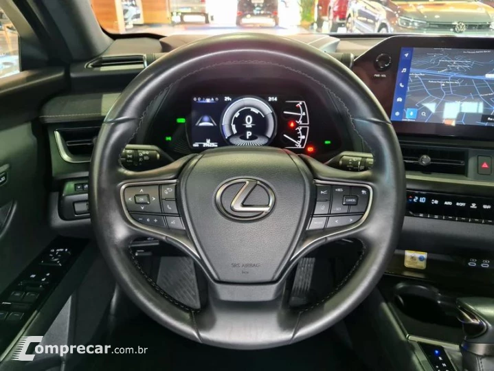 UX250H LUXURY