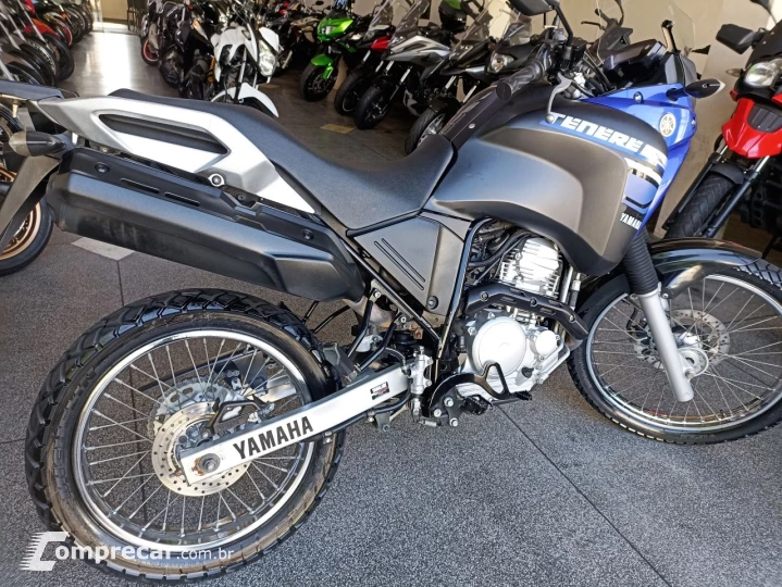 XTZ 250 TENERE/TENERE BLUEFLEX