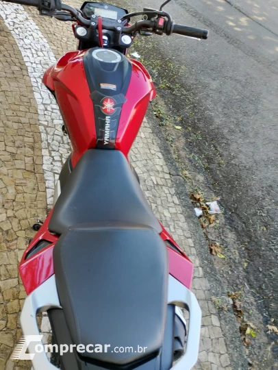 FZ 25 FAZER 250