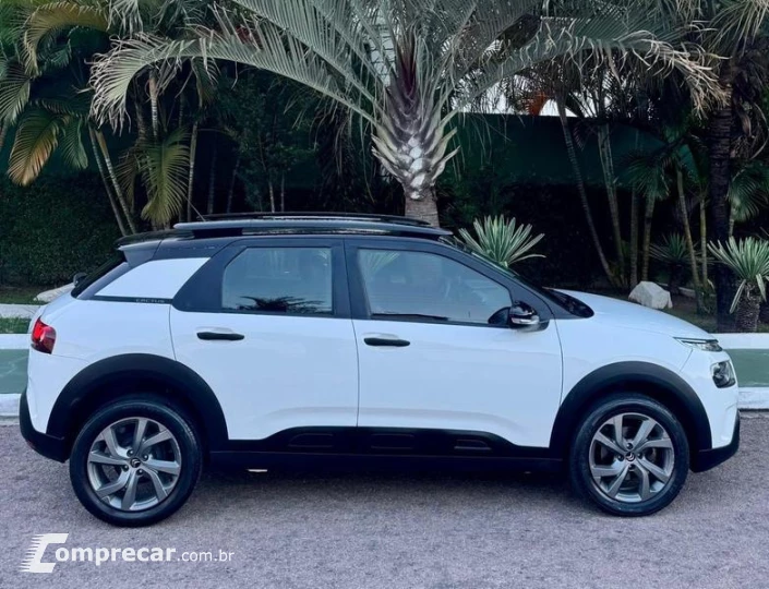 C4CACTUS FEEL A