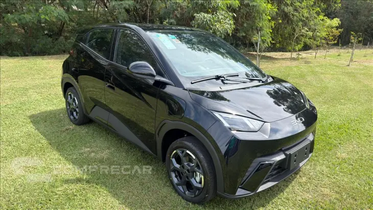 DOLPHIN MINI 38 KW ELÉTRICO GL