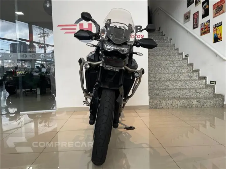 TIGER 900 GT PRO