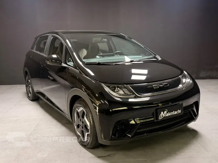 DOLPHIN 44,9 KW ELÉTRICO GS