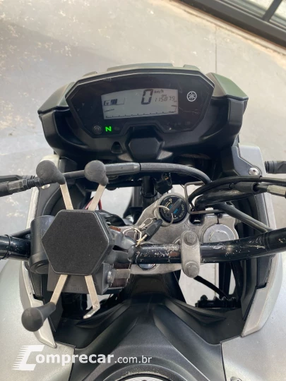 XTZ 250 TENERE/TENERE BLUEFLEX