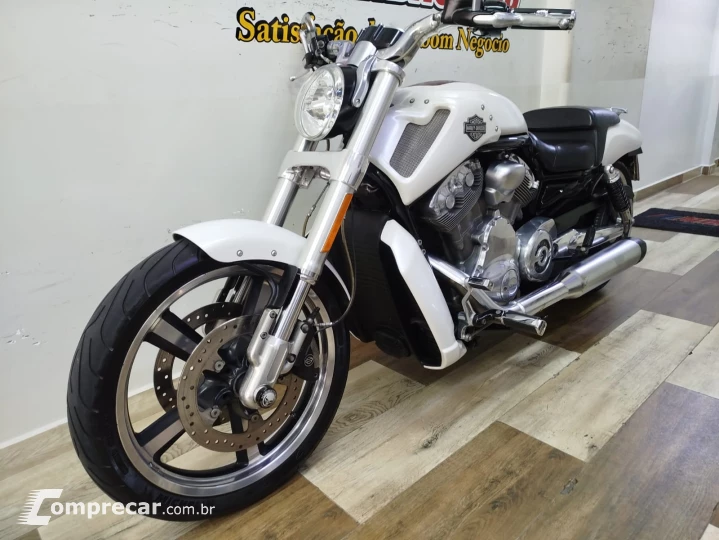 V Rod Custom 1250 cc