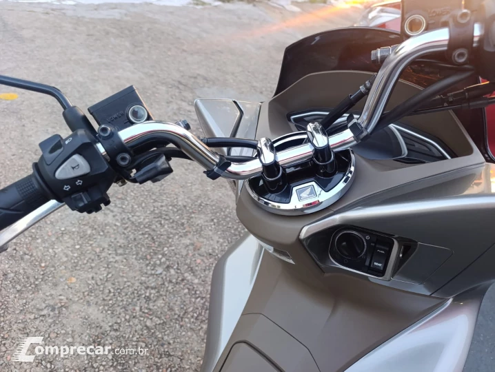 PCX  DLX