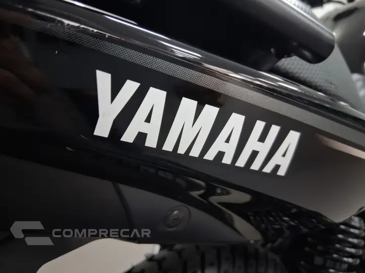 YAMAHA FACTOR YBR 150 ED