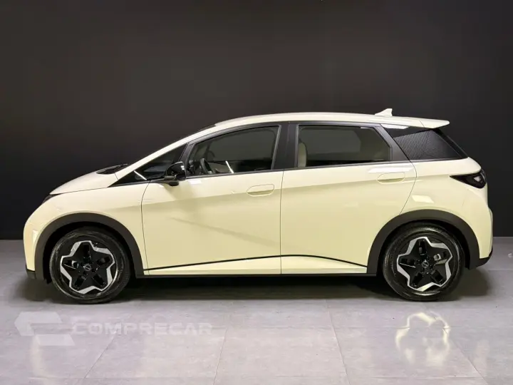DOLPHIN 44,9 KW ELÉTRICO GS