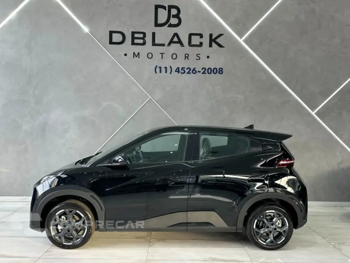 DOLPHIN MINI GL Dolphin Mini (Elétrico)