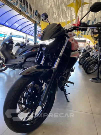FZ 25 FAZER 250