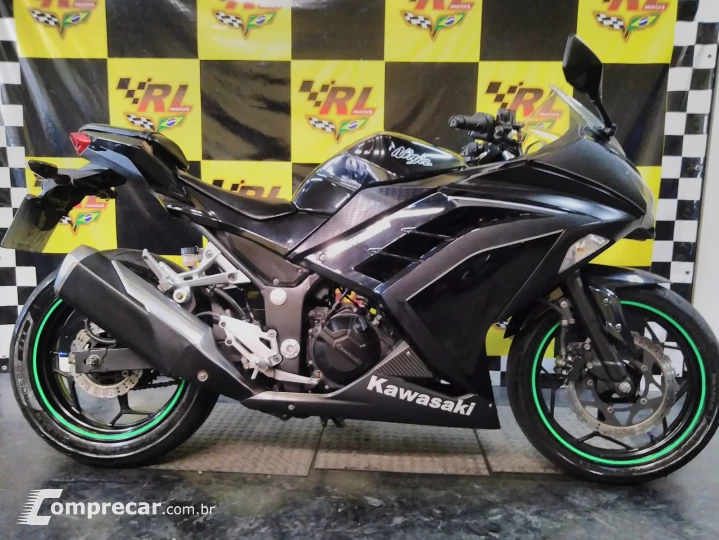 Ninja 300