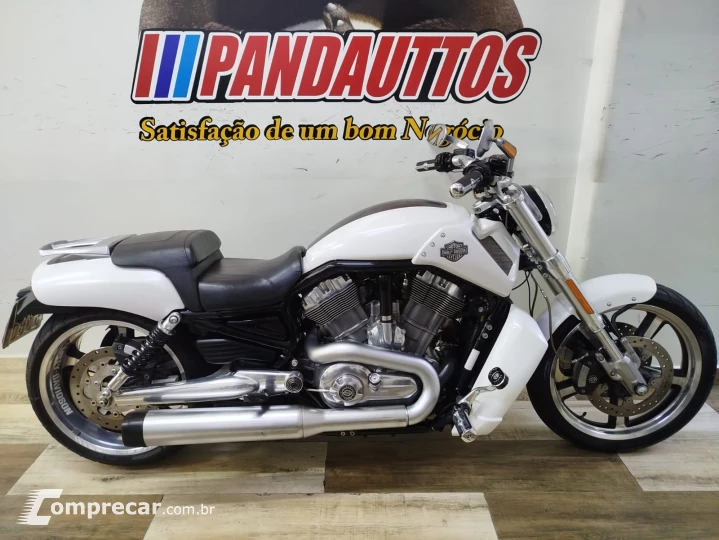V Rod Custom 1250 cc