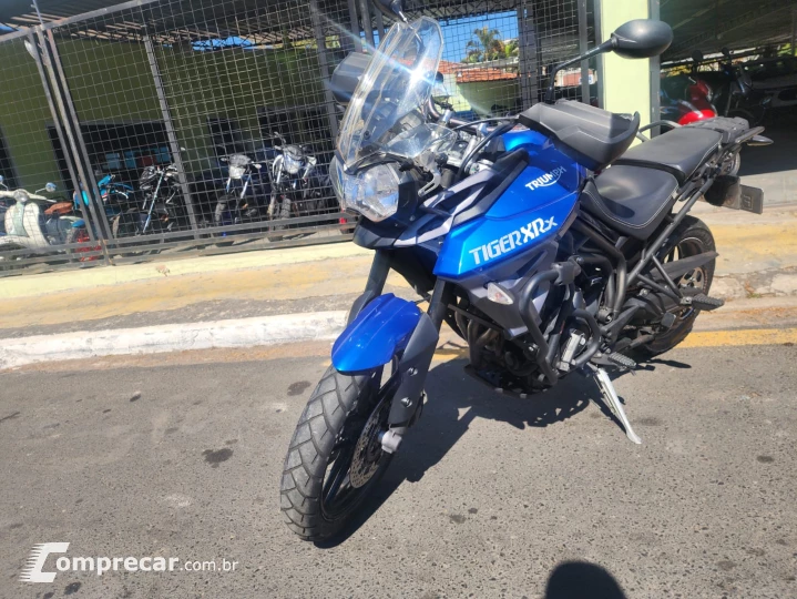 tiger xrx