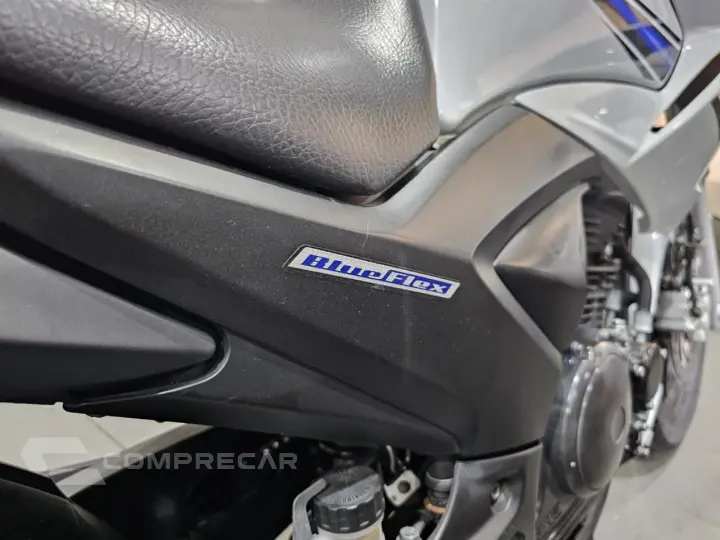YS 250 FAZER/ FAZER L. EDITION /BLUEFLEX
