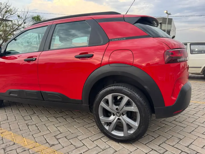 C4 Cactus Feel AT