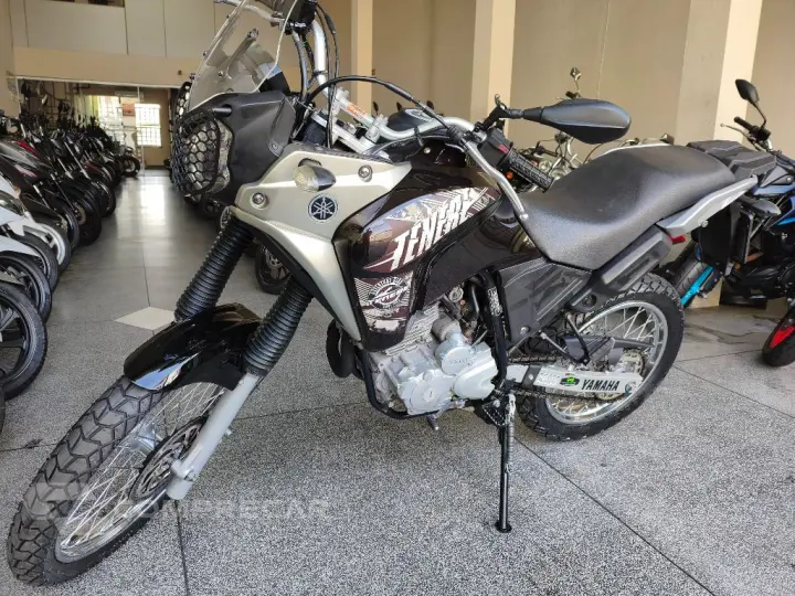 XTZ 250 TENERE/TENERE BLUEFLEX