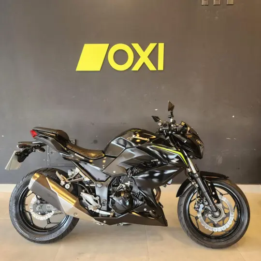 Z 300