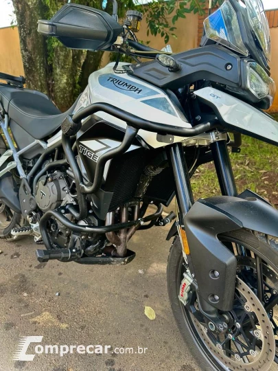 Tiger 900 GT