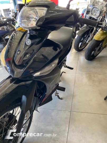 T115 CRYPTON ED