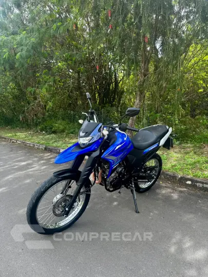XTZ 250 Lander