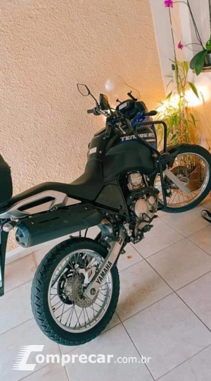 Ténéré 250