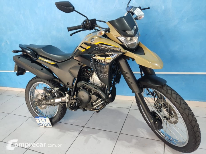 XTZ 250 Lander