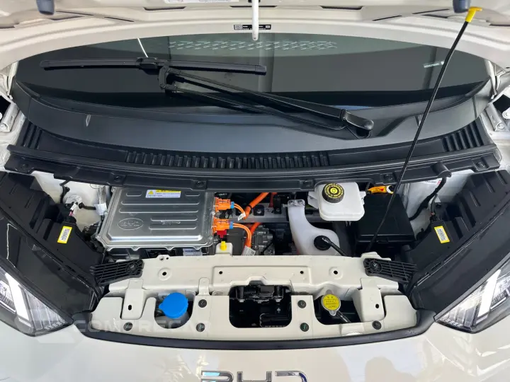 Dolphin Mini (Elétrico)