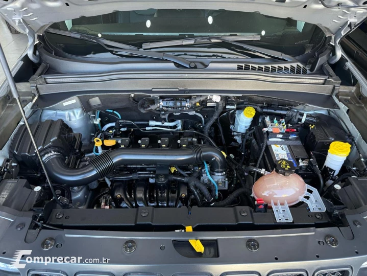 Renegade 1.8